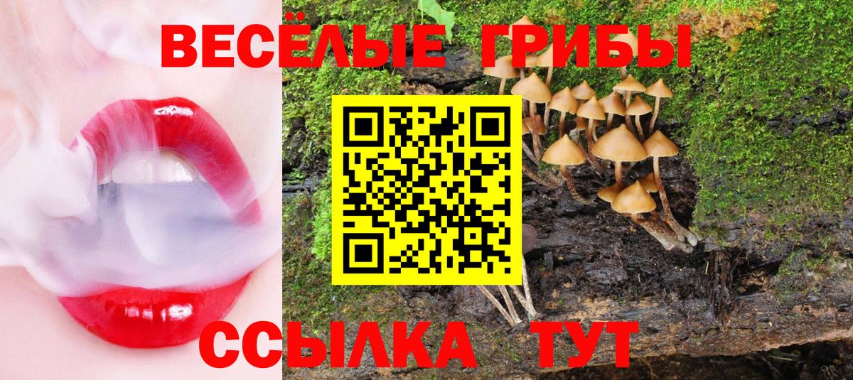 Улан-Удэ  Галлюциногенные грибы прущие грибы  Вход с VPN 
