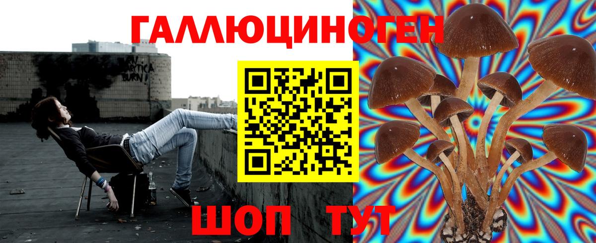 Галлюциногенные грибы MAGIC MUSHROOMS Улан-Удэ