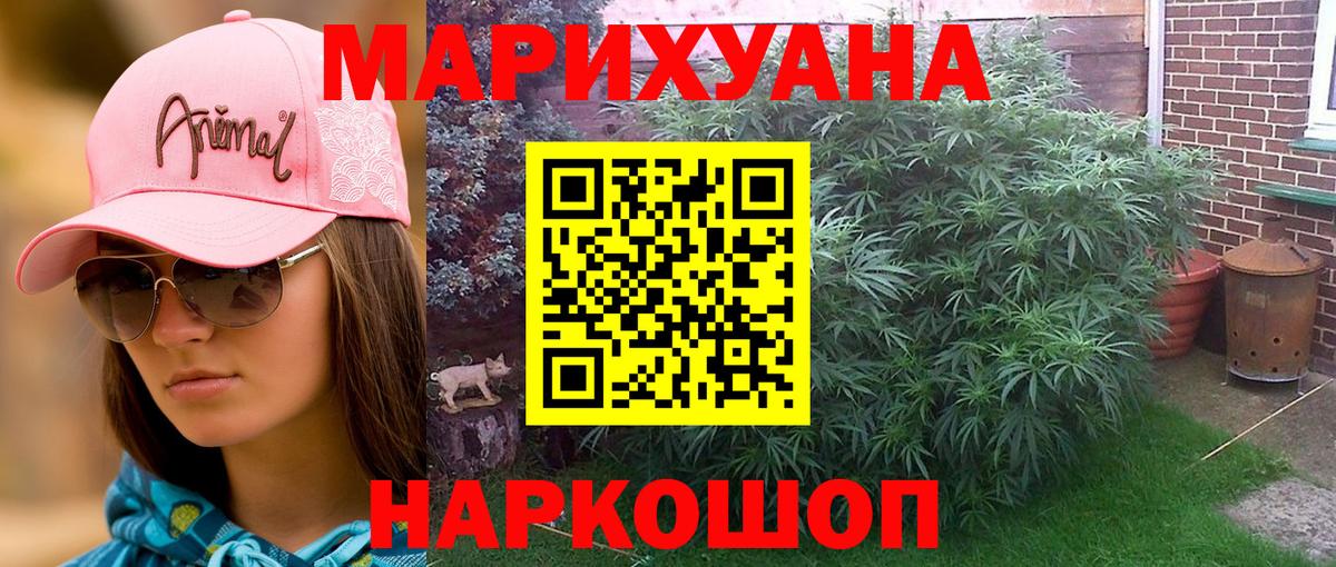 Шишки марихуана сатива Улан-Удэ